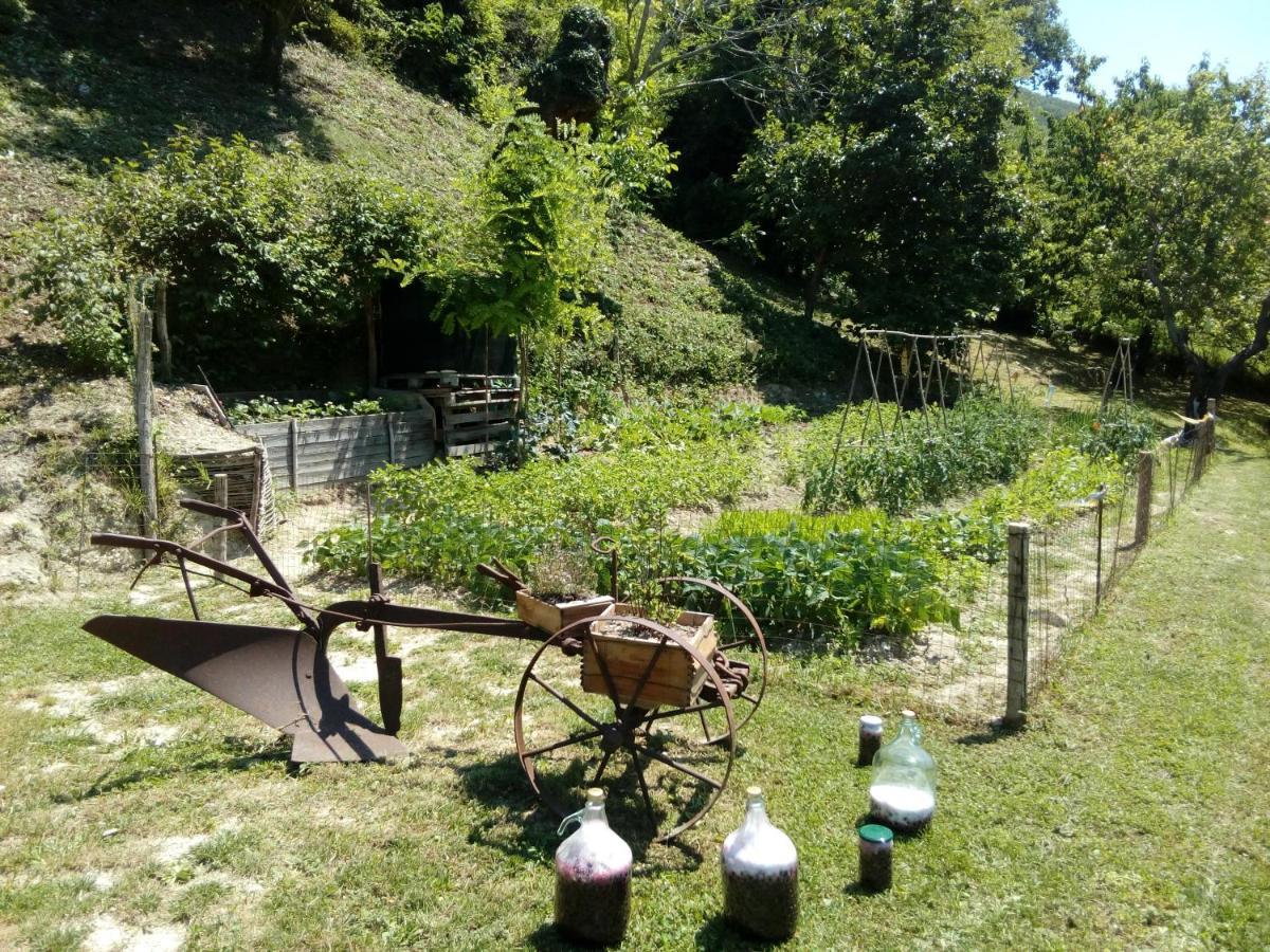 Bed & Breakfast Sentiero 54 Cantiano Екстериор снимка