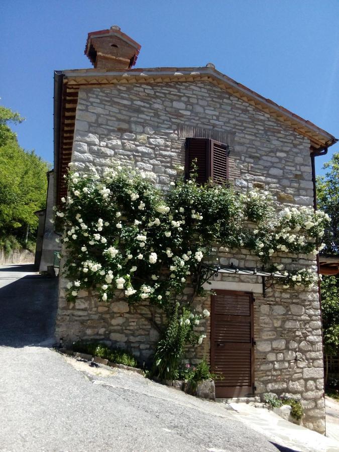 Bed & Breakfast Sentiero 54 Cantiano Екстериор снимка