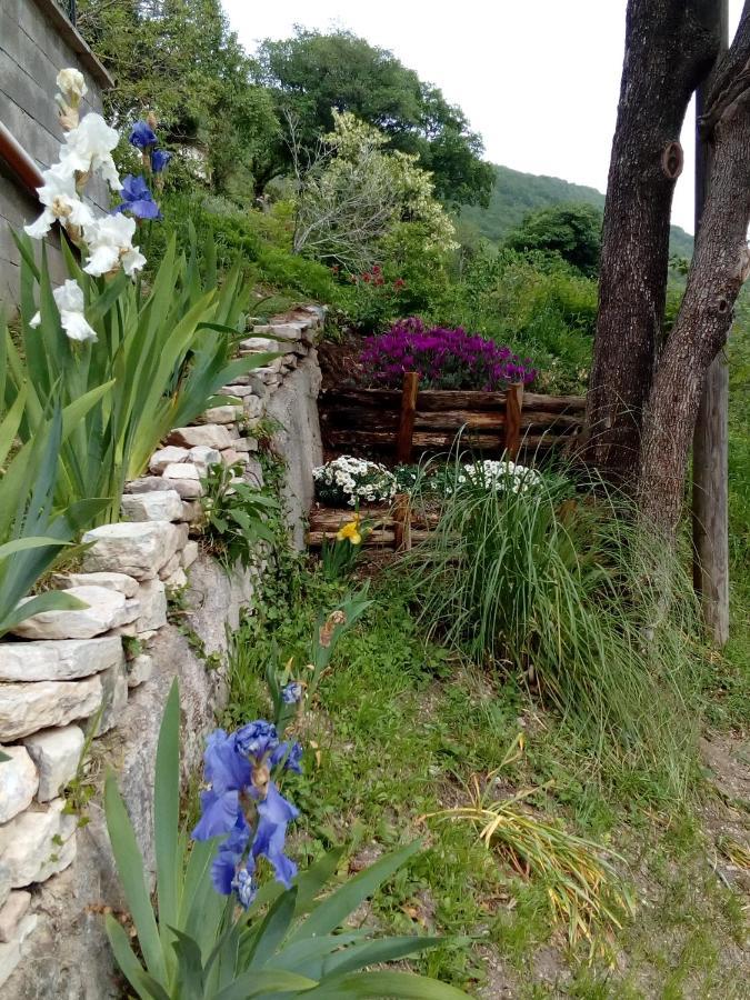 Bed & Breakfast Sentiero 54 Cantiano Екстериор снимка