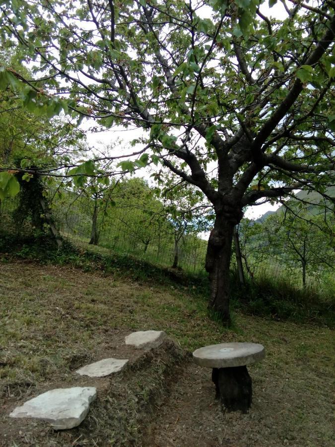 Bed & Breakfast Sentiero 54 Cantiano Екстериор снимка